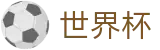 2026国际足联世界杯 · 赛事资讯进入及发布中心